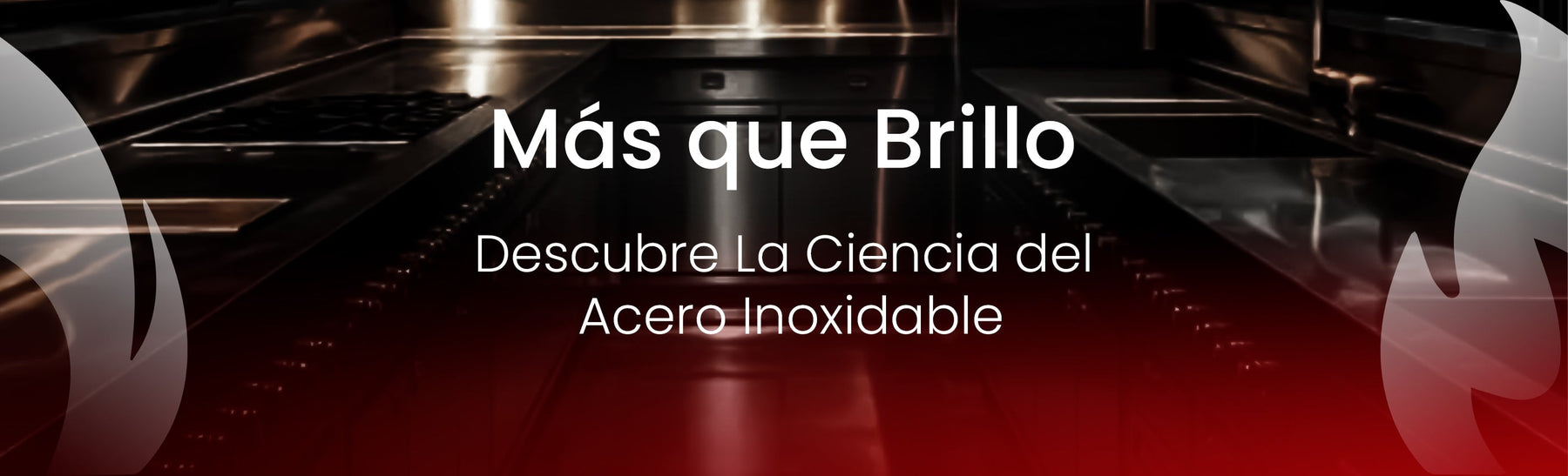 ¿Sabías qué?  La Ciencia de la Eficiencia: ¿Por qué el Acero Inoxidable Domina las Cocinas Profesionales?