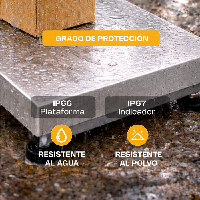 Báscula de Plataforma a Prueba de Agua 200 Kg con Indicador Rhino BAPAG-200-IND