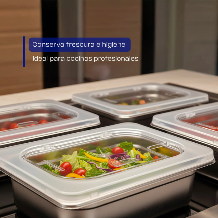 Tapas con Bisagra para Insertos de Acero Inoxidable Noveno Caledonia TANO-BI